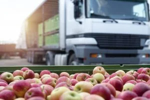 apples in a cart