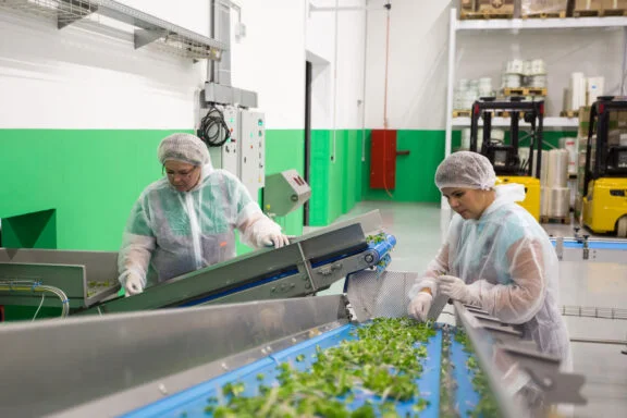 food factory