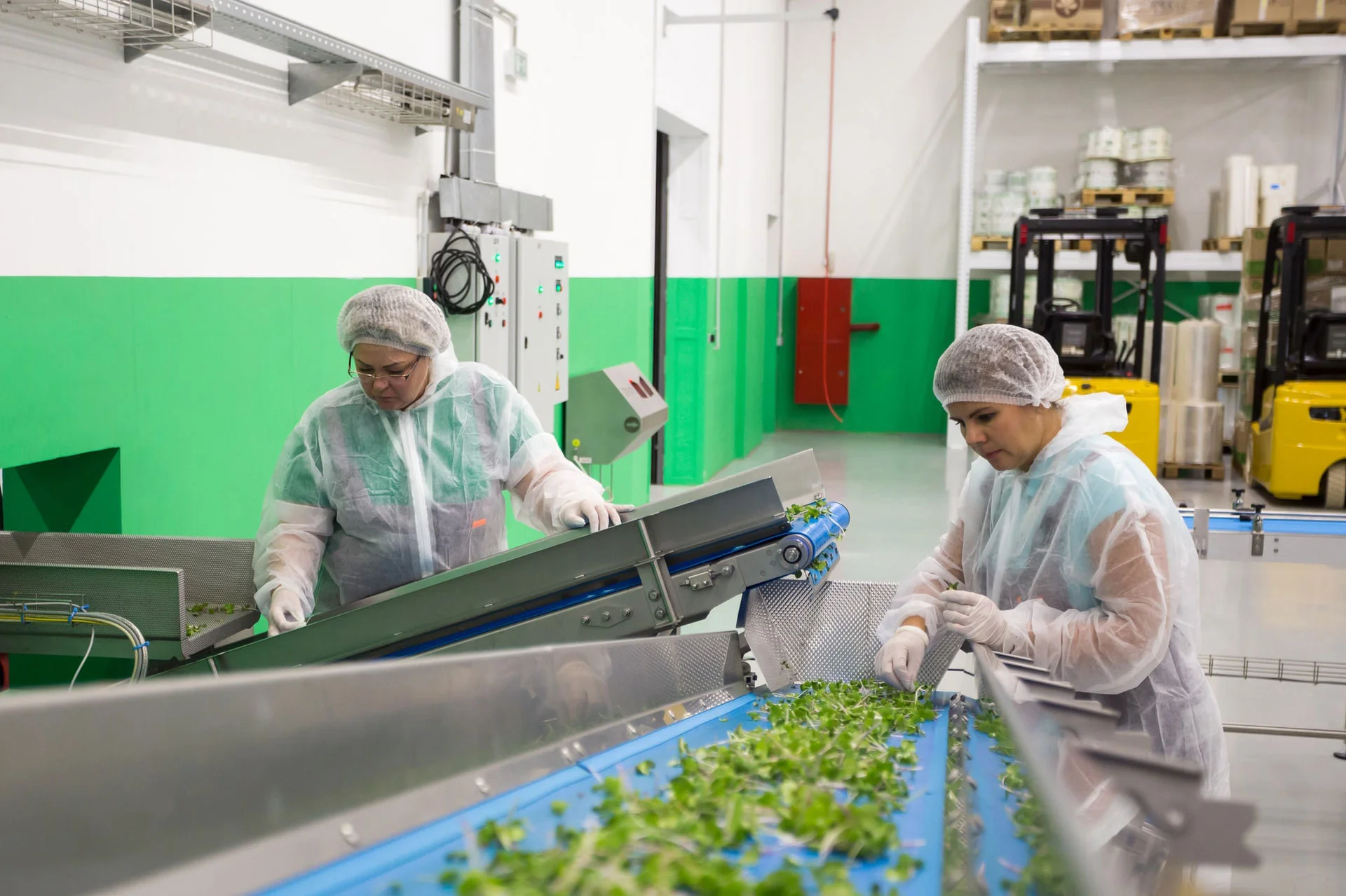 food factory